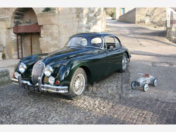 JAGUAR 