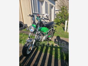 SKY TEAM DAX REPLICA 110