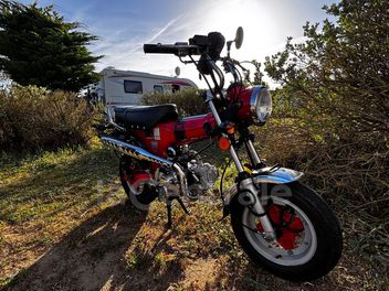 SKY TEAM DAX REPLICA 110