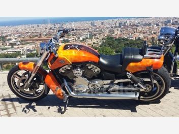 HARLEY DAVIDSON V-ROD 1250 BICOLORE