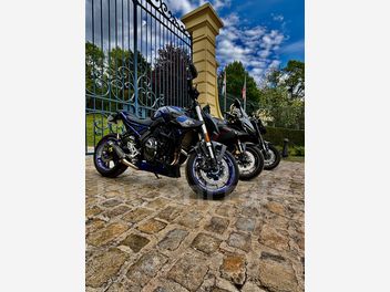 SUZUKI GSX-S 800