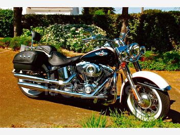 HARLEY DAVIDSON SOFTAIL DELUXE 1584 BICOLORE