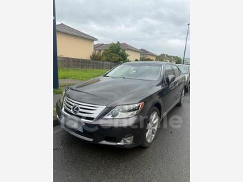 LEXUS 