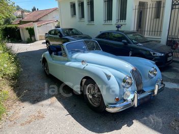 JAGUAR 