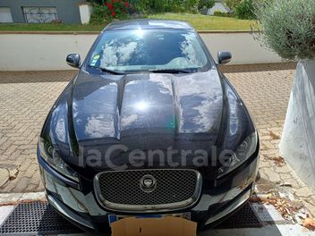 JAGUAR 