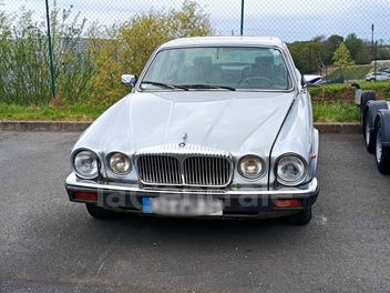 JAGUAR 