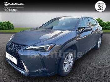 LEXUS 