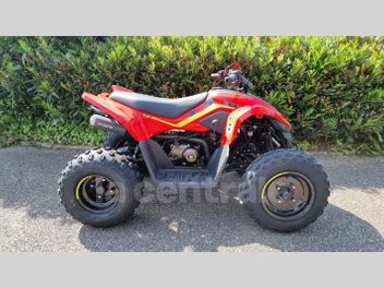 CF MOTO CFORCE 110