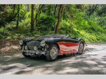 AUSTIN HEALEY 