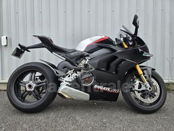 DUCATI PANIGALE V4 SP 1100