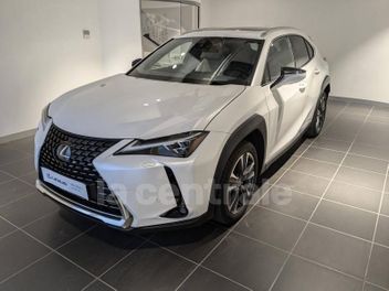 LEXUS UX 2.0 250H 8CV 2WD EXECUTIVE