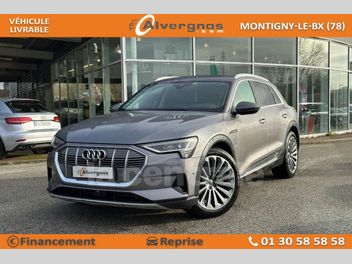 AUDI E-TRON 55 QUATTRO AVUS 95 KWH