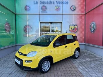 FIAT PANDA 3 III (3) 1.0 70 HYBRIDE BSG S/S PANDA CITY