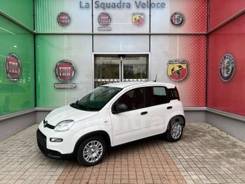 FIAT PANDA 3 III (3) 1.0 70 HYBRIDE BSG S/S PANDA CITY