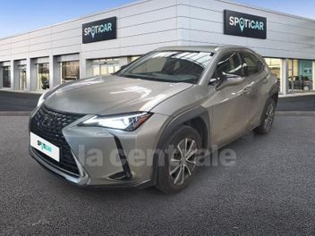 LEXUS 