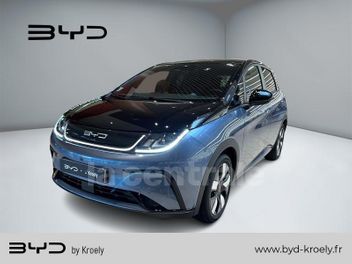 BYD 