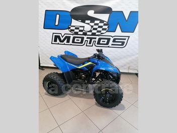 CF MOTO CFORCE 1000