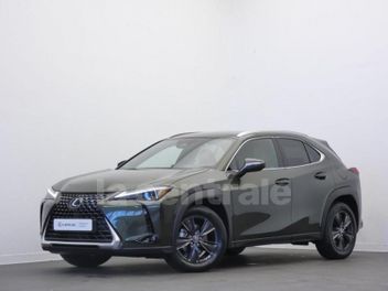 LEXUS UX (2) UX MC 300H 2WD LUXE