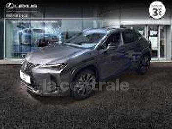 LEXUS UX (2) UX MC 300H 2WD LUXE