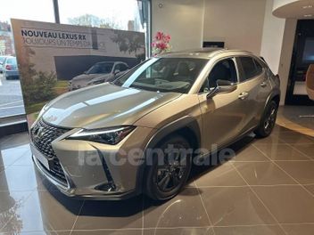 LEXUS UX (2) MC 250H 2WD LUXE