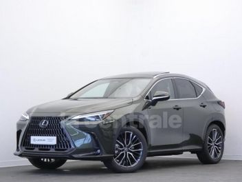 LEXUS NX 2 II 2.5 450H+ 4WD HYBRIDE RECHARGEABLE EXECUTIVE