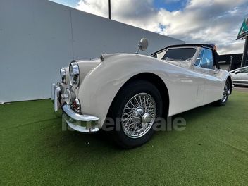 JAGUAR 