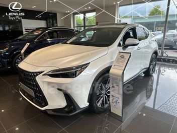 LEXUS 