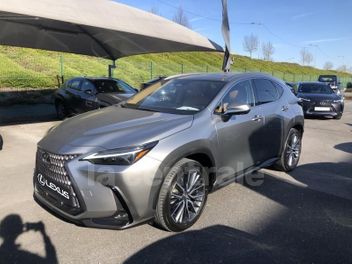 LEXUS 