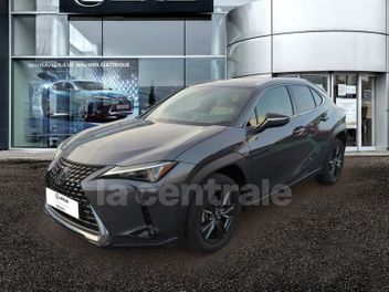 LEXUS 