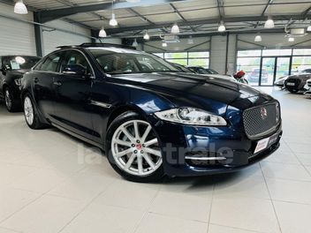 JAGUAR 