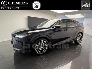 LEXUS 