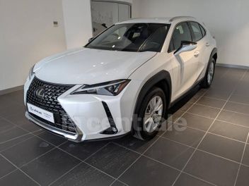 LEXUS UX (2) MC 250H 2WD PACK BUSINESS