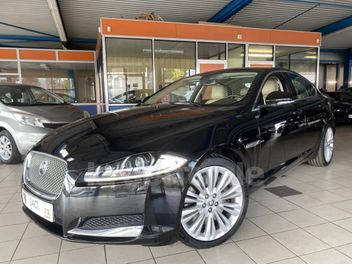 JAGUAR 