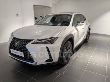 LEXUS UX (2) UX MC 300H 2WD LUXE
