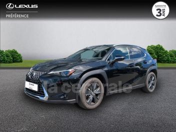 LEXUS UX (2) UX MC 300H 2WD LUXE