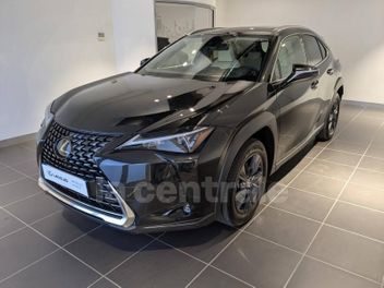 LEXUS UX (2) MC 250H 2WD LUXE
