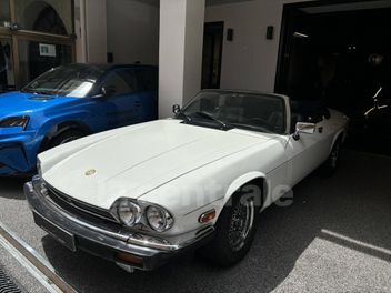 JAGUAR 