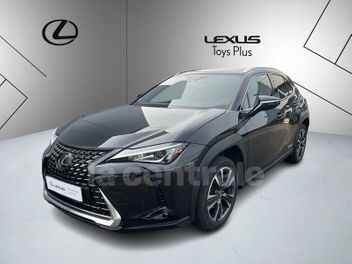 LEXUS 