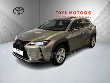 LEXUS UX 250H 2WD PACK BUSINESS PLUS