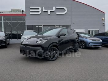 BYD 