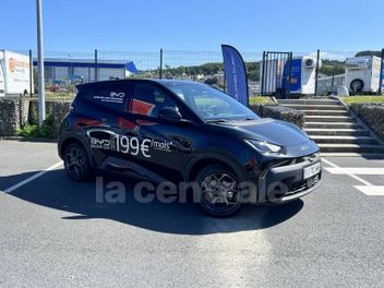 BYD 