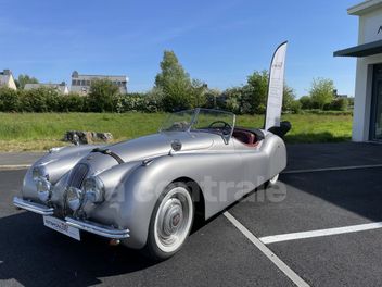 JAGUAR 