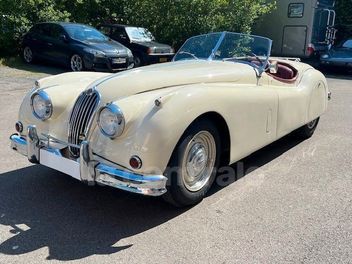 JAGUAR 
