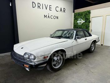 JAGUAR 