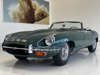 JAGUAR 