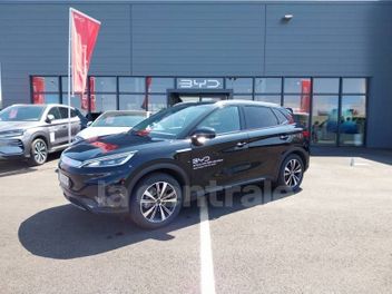 BYD 