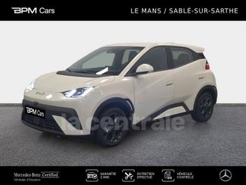 BYD 