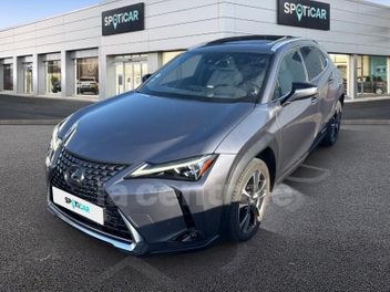 LEXUS 