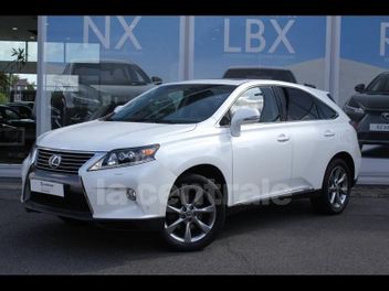 LEXUS 