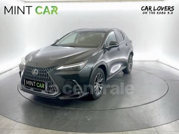 LEXUS 